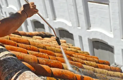 Démoussage de toiture à Fouras